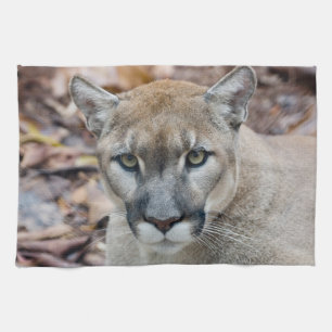 Cougar, Berglöwe, Panther Florida, Puma Handtuch