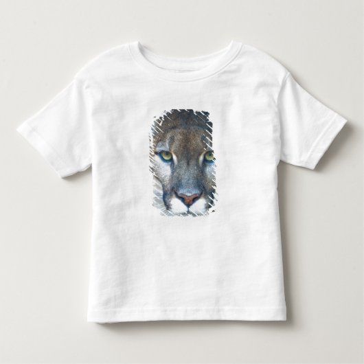 Cougar, Berglöwe, Panther Florida, Puma Kleinkind T-shirt (Vorderseite)