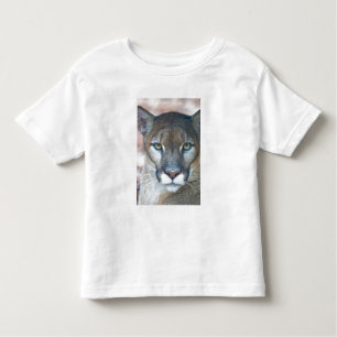 Cougar, Berglöwe, Panther Florida, Puma Kleinkind T-shirt