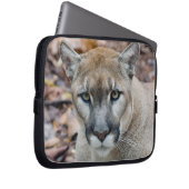 Cougar, Berglöwe, Panther Florida, Puma Laptopschutzhülle (Vorne Rechts)