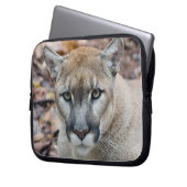 Cougar, Berglöwe, Panther Florida, Puma Laptopschutzhülle (Vorderseite Links)