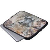 Cougar, Berglöwe, Panther Florida, Puma Laptopschutzhülle (Vorne Knopf)