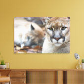 Cougar, Berglöwe, Panther Florida, Puma Leinwanddruck (Insitu (Wohnzimmer))