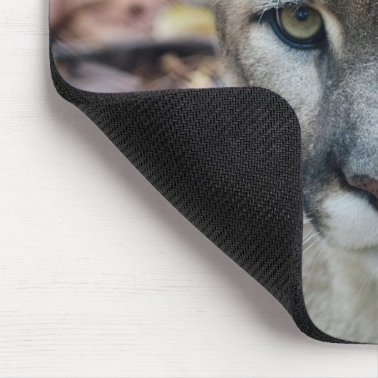 Cougar, Berglöwe, Panther Florida, Puma Mousepad (Ecke)