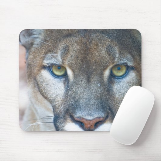 Cougar, Berglöwe, Panther Florida, Puma Mousepad (Mit Mouse)