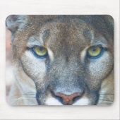 Cougar, Berglöwe, Panther Florida, Puma Mousepad (Vorne)
