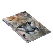 Cougar, Berglöwe, Panther Florida, Puma Notizblock (Rechte Seite)