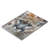 Cougar, Berglöwe, Panther Florida, Puma Notizblock (Linke Seite)