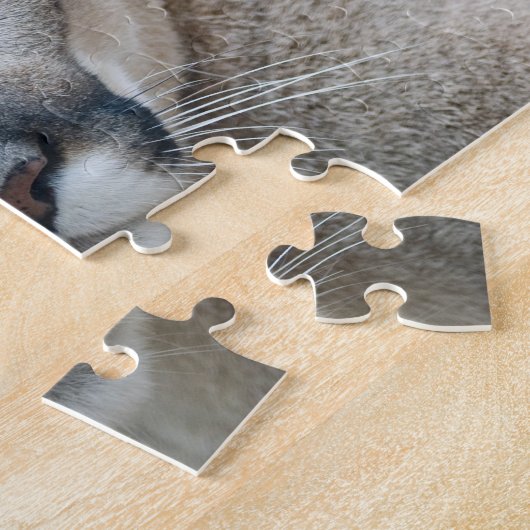 Cougar, Berglöwe, Panther Florida, Puma Puzzle (Seite)