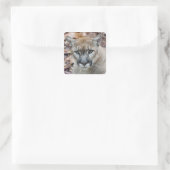 Cougar, Berglöwe, Panther Florida, Puma Quadratischer Aufkleber (Tasche)