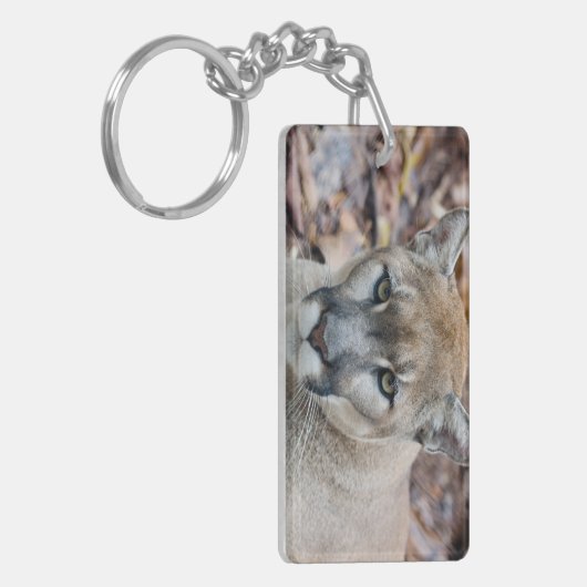 Cougar, Berglöwe, Panther Florida, Puma Schlüsselanhänger (Vorderseite links)