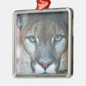Cougar, Berglöwe, Panther Florida, Puma Silbernes Ornament (Links)