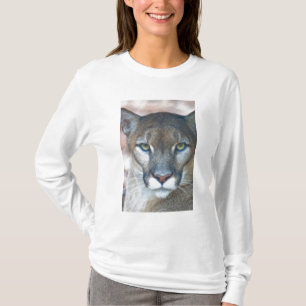 Cougar, Berglöwe, Panther Florida, Puma T-Shirt