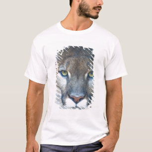 Cougar, Berglöwe, Panther Florida, Puma T-Shirt
