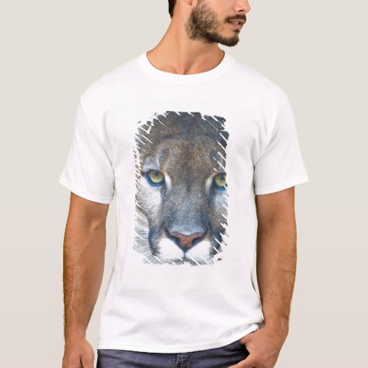 Cougar, Berglöwe, Panther Florida, Puma T-Shirt (Vorderseite)