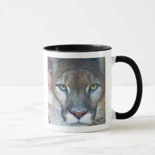 Cougar, Berglöwe, Panther Florida, Puma Tasse