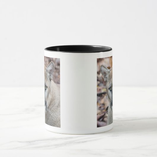 Cougar, Berglöwe, Panther Florida, Puma Tasse (Zentrum)