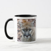 Cougar, Berglöwe, Panther Florida, Puma Tasse (Links)