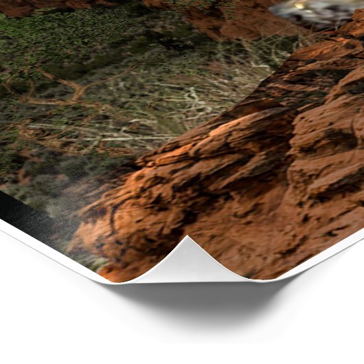 Cougar-Bergposter Poster (Ecke)