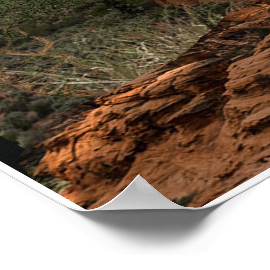 Cougar-Bergposter Poster (Ecke)