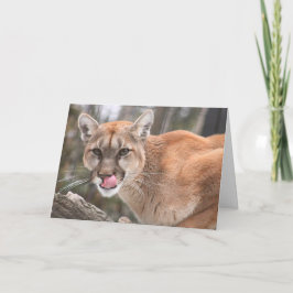 Cougar Big Cat Notecard Karte