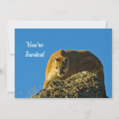 Cougar Birthday Einladung (Vorderseite)