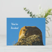 Cougar Birthday Einladung (Stehend Vorderseite)