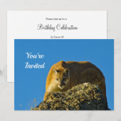 Cougar Birthday Einladung (Vorne/Hinten)