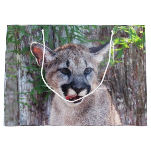 Cougar Cub Große Geschenktasche Große Geschenktüte (Vorderseite)