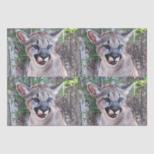 Cougar Cub Tissue Paper/Decoupage Paper Seidenpapier
