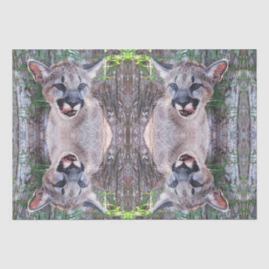 Cougar Cub Tissue Paper/Decoupage Paper Seidenpapier (Vorderseite)
