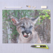 Cougar Cub Tissue Paper/Decoupage Paper Seidenpapier (Handwerk)