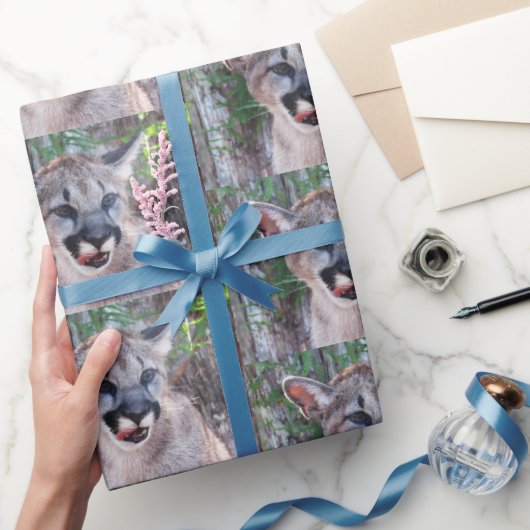 Cougar Cub Wrapping Paper Roll Geschenkpapier (Schenken)