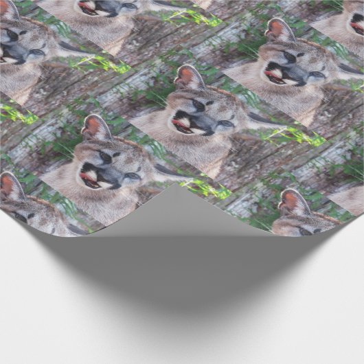 Cougar Cub Wrapping Paper Roll Geschenkpapier (Ecke)
