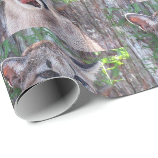 Cougar Cub Wrapping Paper Roll Geschenkpapier (Rolleneckpunkt)