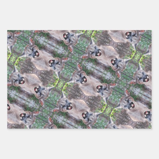 Cougar Cub Wrapping Paper Sheets Geschenkpapier Set (Vorderseite)
