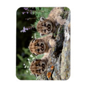 Cougar Cubs Magnet (Vertikal)