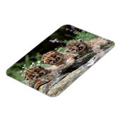 Cougar Cubs Magnet (Linke Seite)