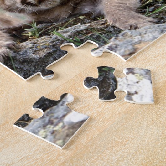 Cougar Cubs Puzzle (Seite)