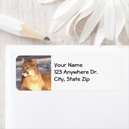 Cougar-Erholung (Insitu)