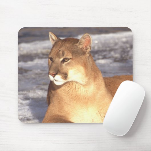 Cougar-Erholung Mousepad (Mit Mouse)