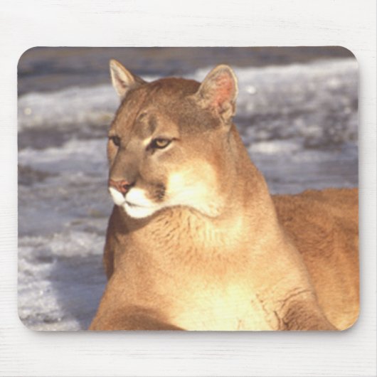 Cougar-Erholung Mousepad (Vorne)