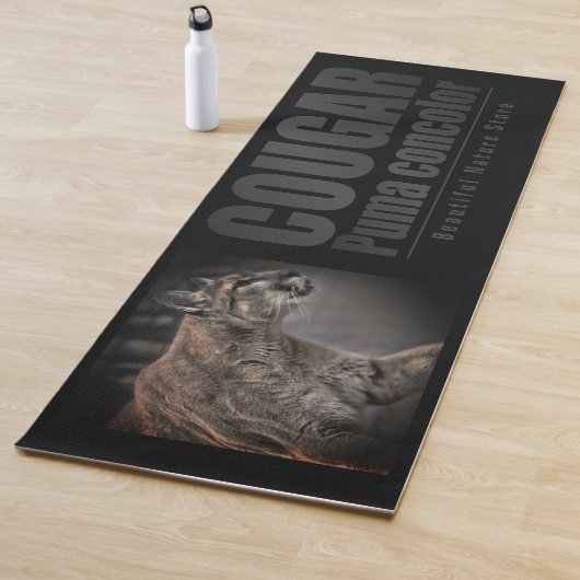 COUGAR：Extra Long Yoga Mat Yogamatte (Beispiel)