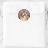 Cougar Face Runder Aufkleber (Tasche)