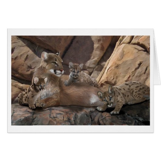 Cougar-Familie (Vorderseite (Horizontal))