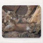 Cougar-Familie Mousepad (Vorne)