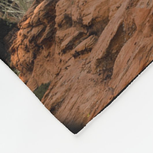 Cougar Fleecedecke (Ecke)