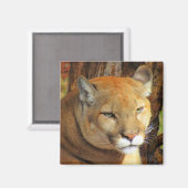 Cougar / Florida Panther Magnet (Vorderseite/Rückseite)