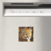Cougar / Florida Panther Magnet (In Situ (Geschirrspüler))