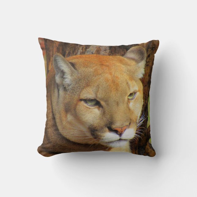 Cougar / Florida Panther / Mountain Lion - Kissen (Vorderseite)